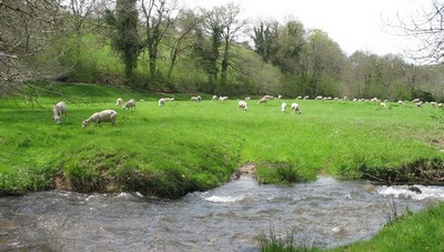 bienvenida-a-la-granja-tarn